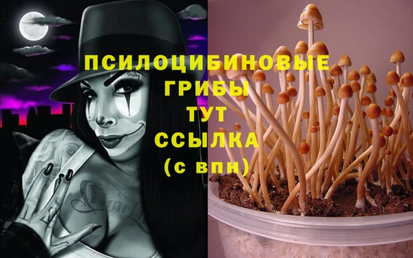 метадон Михайловка