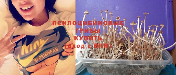 тгк Михайловск