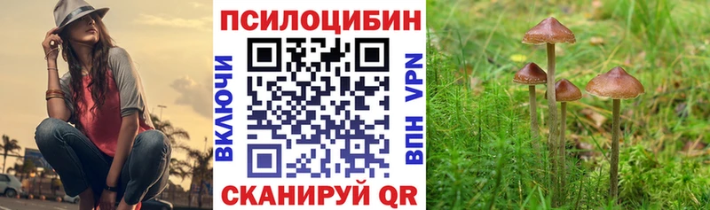 купить наркотики сайты  Реж  Псилоцибиновые грибы Cubensis 